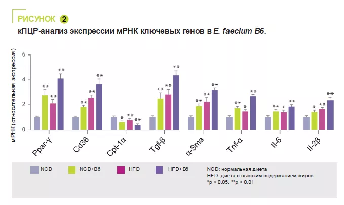 figure 2 RU