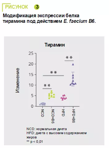 Article 3 fig 3