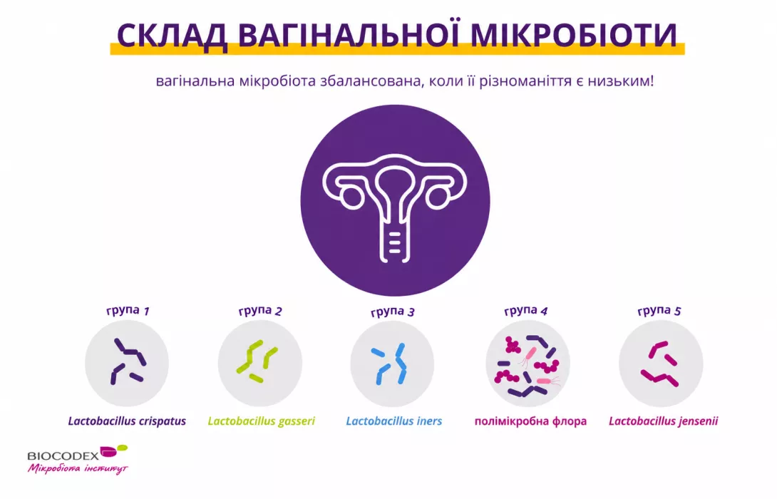 Склад вагінальної мікробіоти 