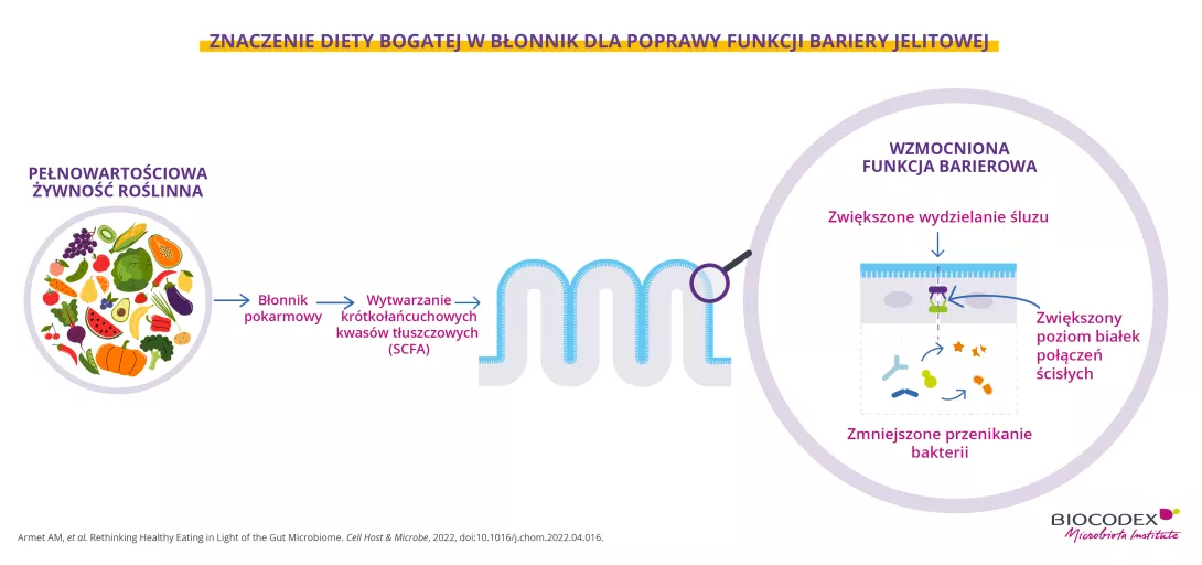 Ta infografika edukacyjna wyjaśnia, w jaki sposób spożywanie pełnowartościowych produktów pochodzenia roślinnego przyczynia się do wzmocnienia funkcji jelit dzięki działaniu mikrobioty jelitowej.  Po lewej stronie ilustracji znajduje się duży okrąg zatytułowany „PEŁNOWARTOŚCIOWE PRODUKTY POCHODZENIA ROŚLINNEGO”, zawierający liczne kolorowe ilustracje owoców, warzyw i innych produktów roślinnych. Przedstawiono między innymi winogrona, kiwi, kukurydzę, papaję, pomidory, owoce cytrusowe, zieloną kapustę, bakła