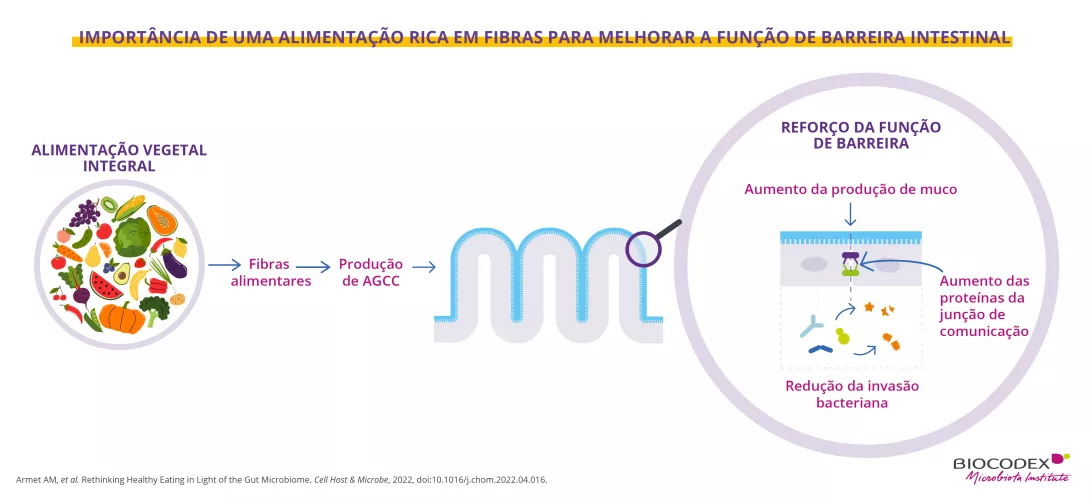 Este infográfico educativo explica como o consumo de alimentos integrais de origem vegetal contribui para fortalecer a função intestinal por meio da ação da microbiota intestinal.  Na parte esquerda da imagem, um grande círculo intitulado "ALIMENTOS INTEGRAIS DE ORIGEM VEGETAL" reúne diversas ilustrações coloridas de frutas, legumes, verduras e outros vegetais. Entre eles estão uvas, kiwi, milho, mamão, tomates, frutas cítricas, couve, berinjelas, cenouras, beterrabas, brócolis, abóbora, melancia, batata e 