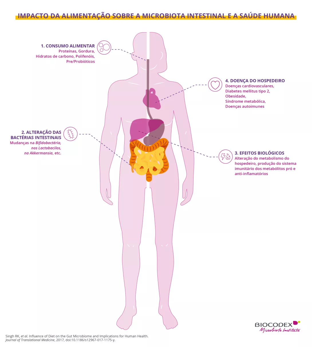 Este infográfico educativo ilustra as relações entre a alimentação, a microbiota intestinal e algumas doenças crônicas. No centro da imagem, uma silhueta humana em rosa-claro representa o corpo humano visto de frente. Os principais órgãos envolvidos na digestão e no metabolismo estão destacados: o esôfago, o coração, o fígado, o estômago, o intestino delgado e o cólon.  Ao redor da silhueta, quatro etapas numeradas explicam como a alimentação pode influenciar as bactérias intestinais e, consequentemente, a 