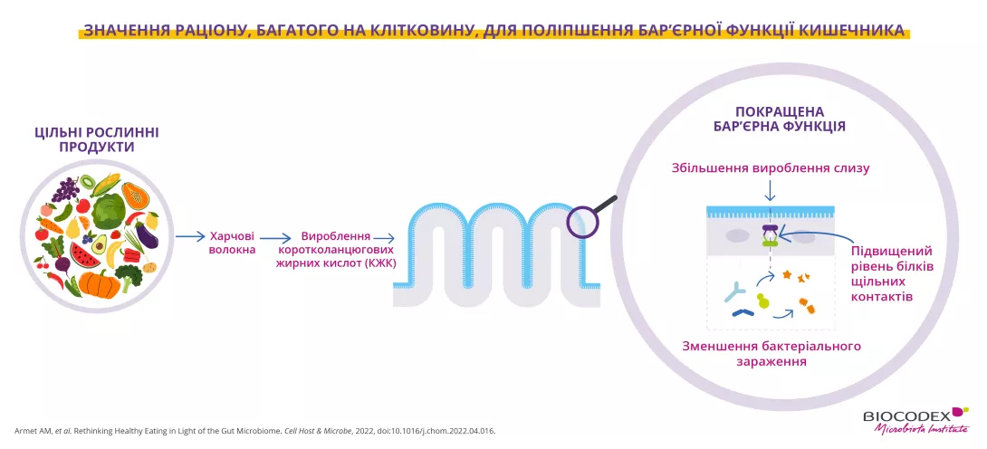 Infographie Alim-UKR-03.png