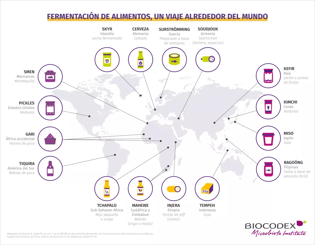 Tour du monde Aliments Fermentés_2_ES.png 