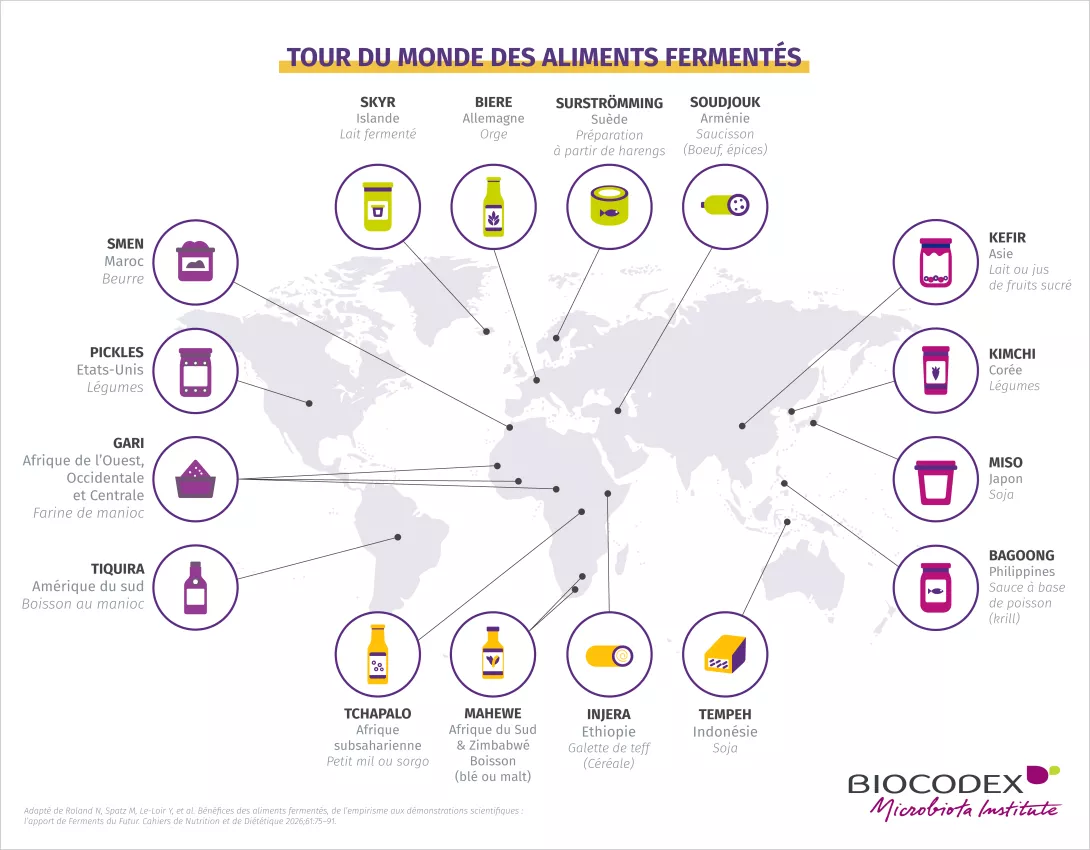 Tour du monde Aliments Fermentés_2_FR.png