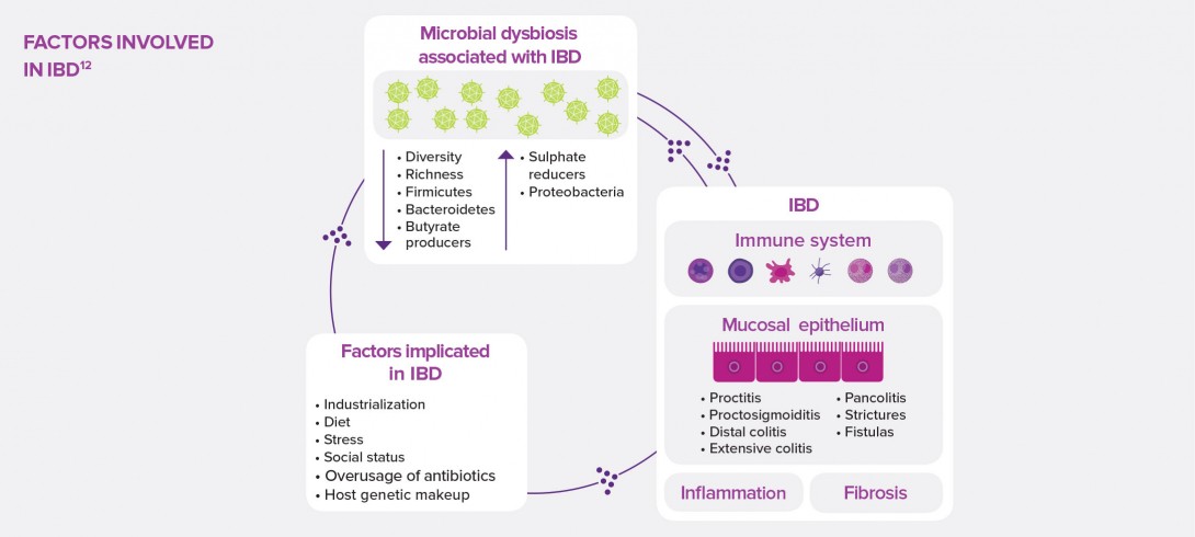 Focus on the role of antimicrobial peptides