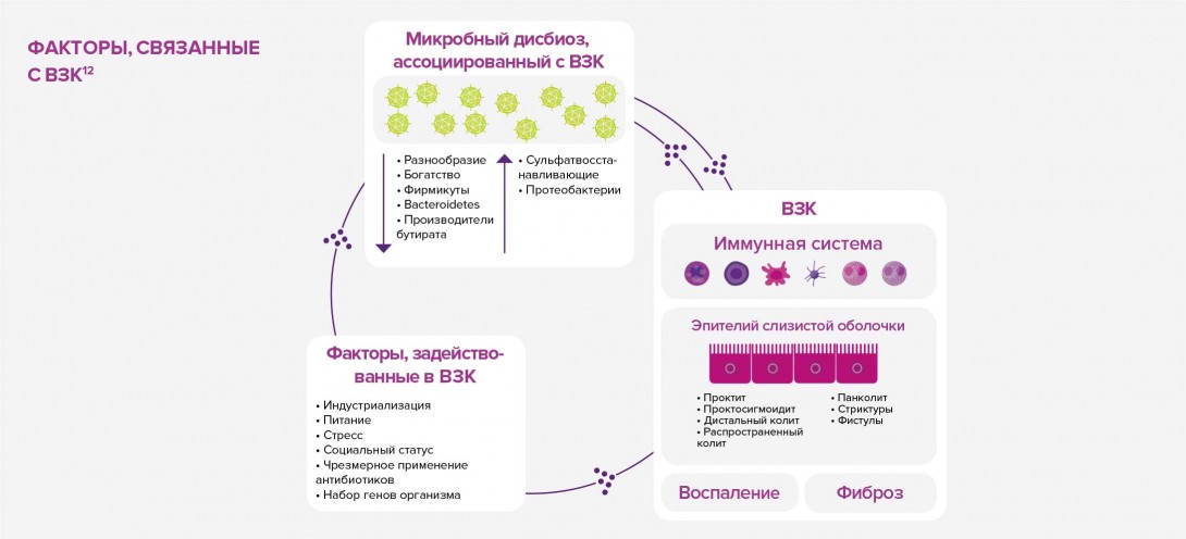 Article-5-infography-RU