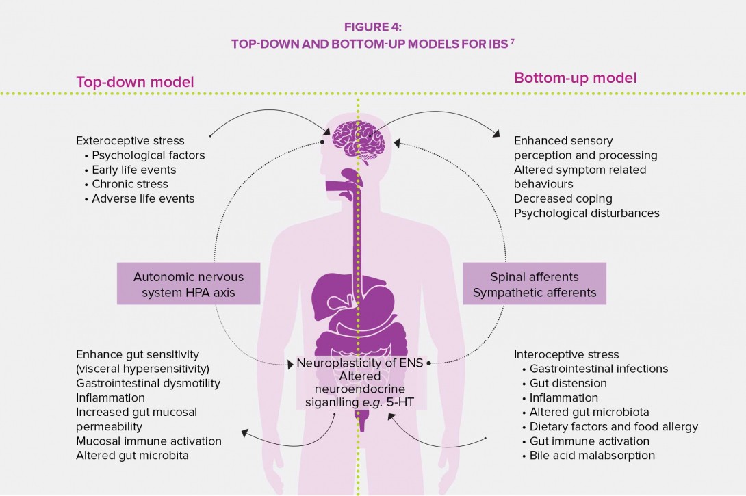 Focus-on-the-gut-brain-axis-infography1