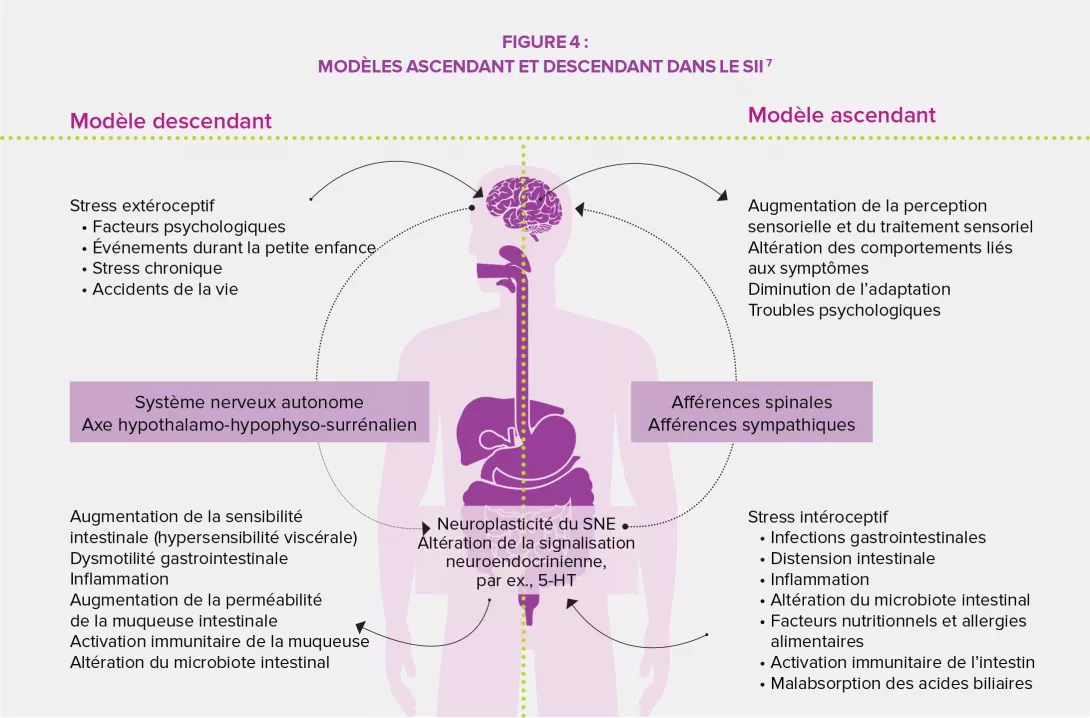 TFI-Axe-intestin-cerveau-infographie1